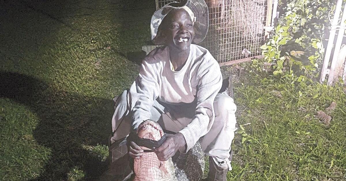 Alligator in Hillsboro! Oh, My! - Vimarsana News