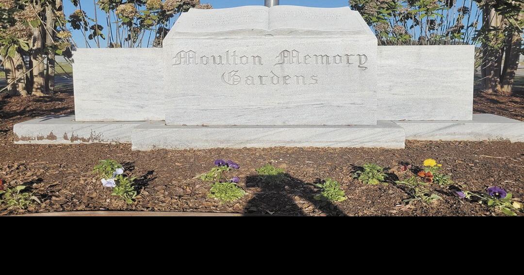 Municipal cemetery “just a big challenge” News