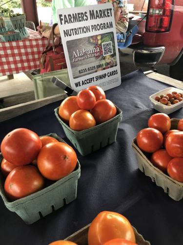 Farmers Market Authority&rsquo;s Senior Farmers Market Nutrition Program 