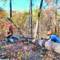 Wild Alabama upcoming events on Oct. 27 and Oct. 28