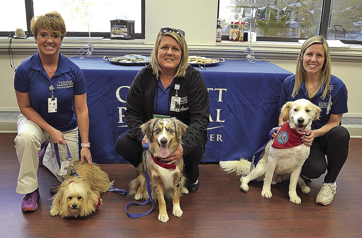 Colquitt Regional Medical Center welcomes 3 therapy dogs | Local News |  