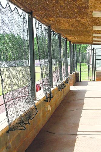 Youth Baseball Player Behind The Dugout Fence During A Game In