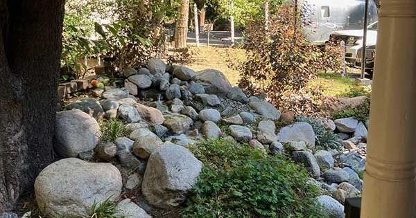 New Bookstore in Agua Fria is Reigning Pages