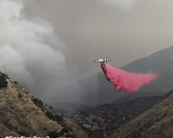 Line Fire Grows to Over 24,000 Acres | News | mountain-news.com