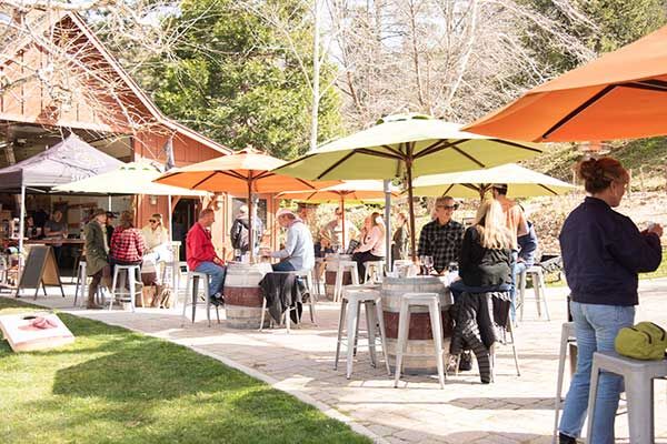 Where Pines Meet the Vine | News | mountain-news.com