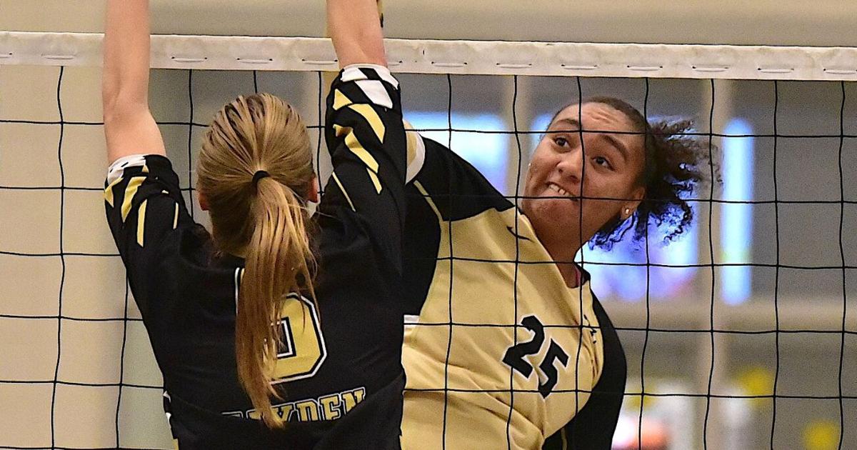 MountainEagle.com - Jasper volleyball splits matches image