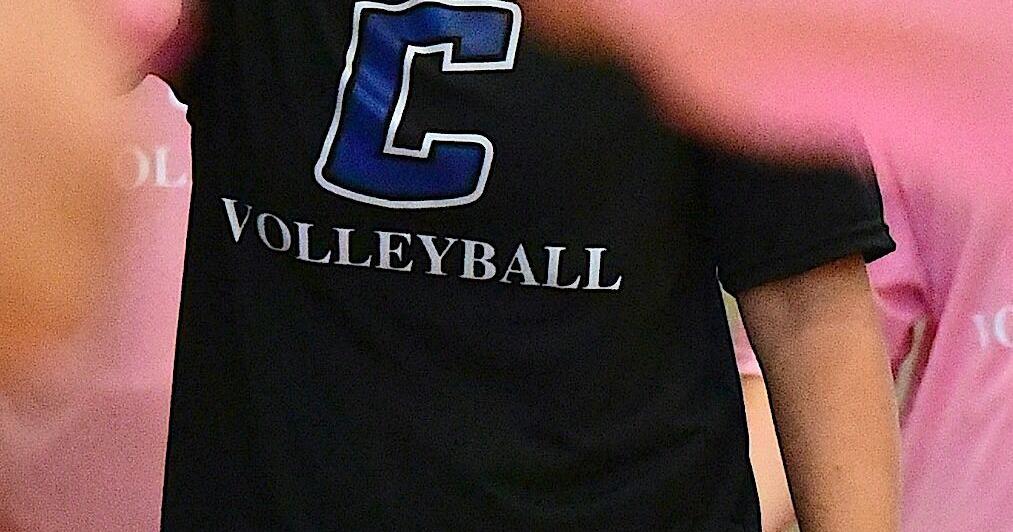MountainEagle.com - Harris makes move to head volleyball coach at Curry image