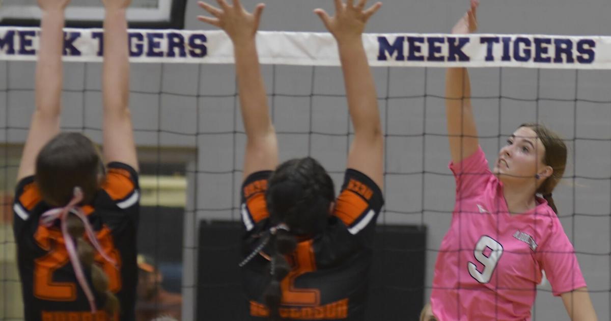 MountainEagle.com - Addison, Corner win matches image