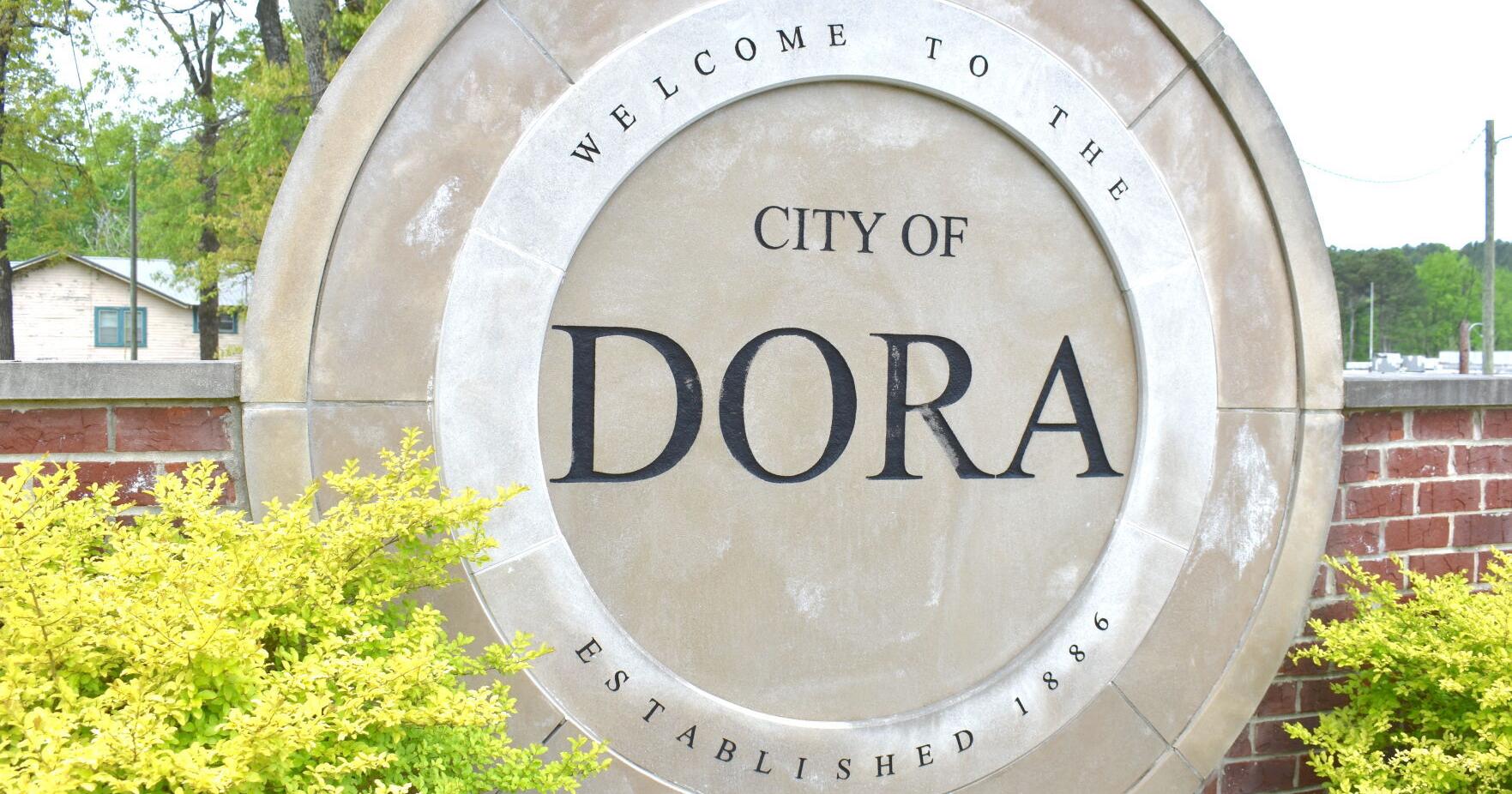 Dora council agrees to pay for extra tree trimming - Vimarsana News