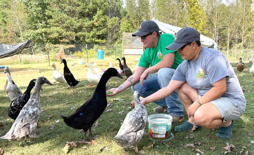 Foot Farm First-ever FARMily Day with Quacky Feet Farm set for July 22 in Nauvoo ...