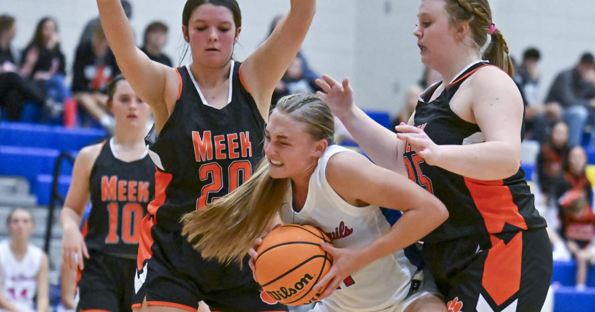 MountainEagle.com - Carbon Hill boys and girls earn tournament wins; Cordova girls move to 5-0 image