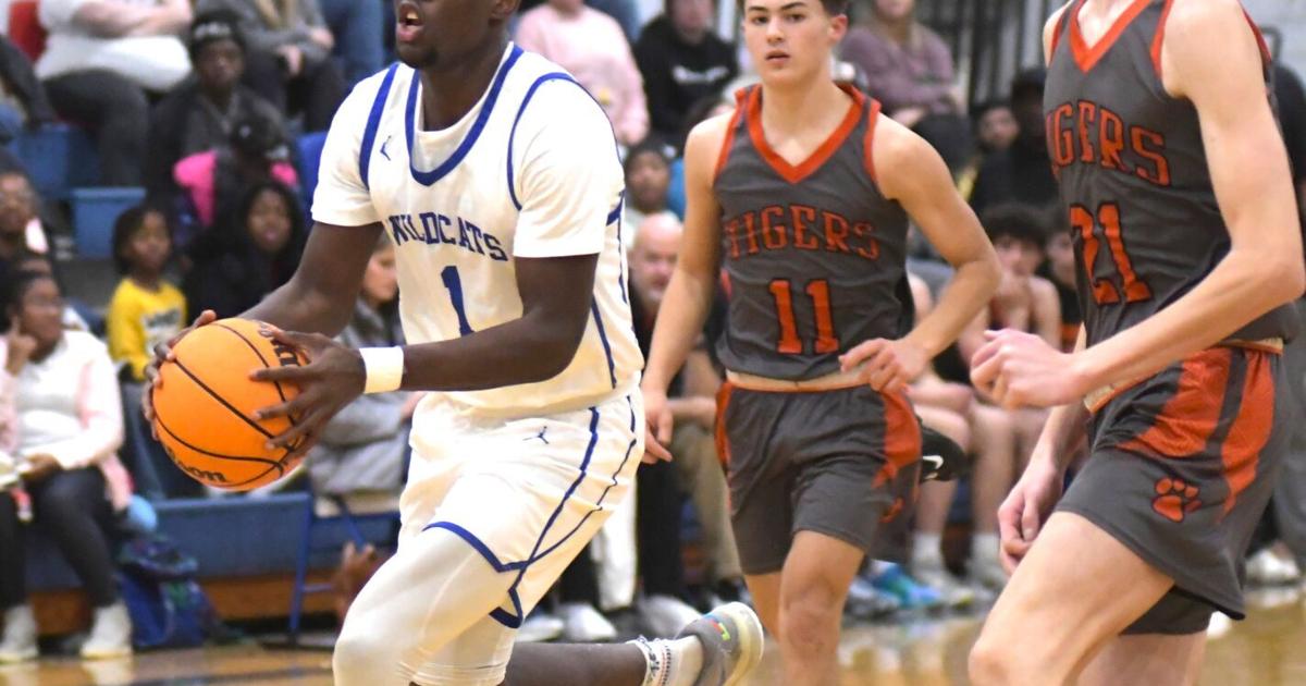 MountainEagle.com - Prep Basketball: Oakman's Johnson shines in win over Meek image