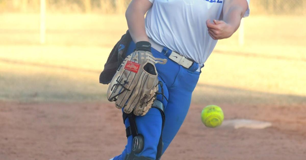 MountainEagle.com - Prep Softball: Curry, Carbon Hill both finish second over weekend image