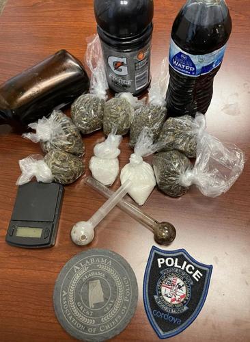 Traffic stop leads to arrest of wanted fugitive | News | mountaineagle.com