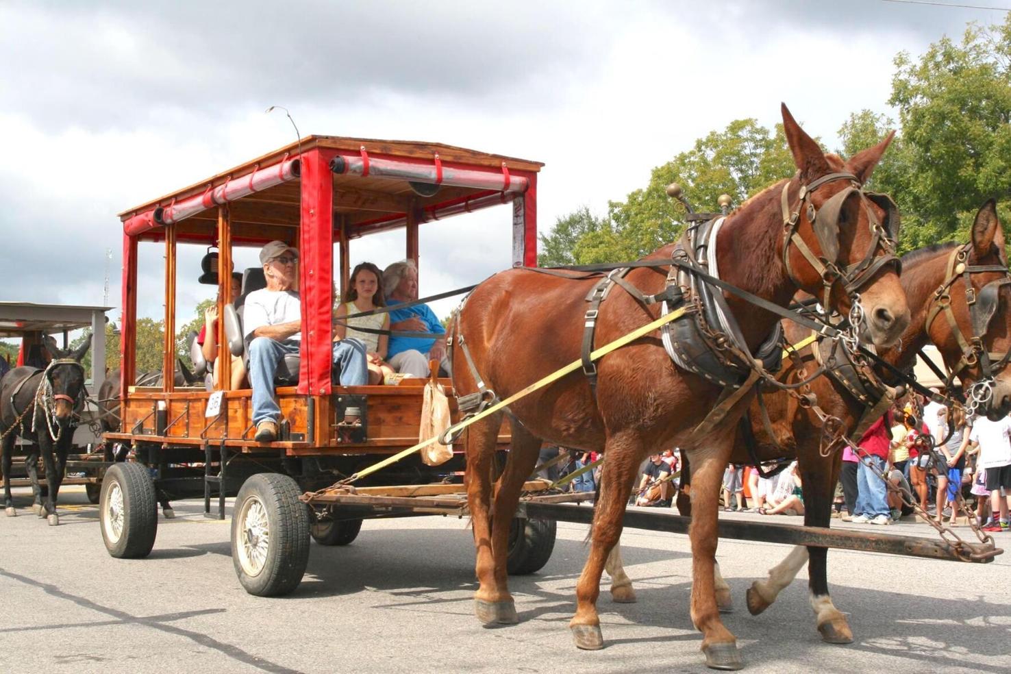 Winfield Mule Day events set for Friday, Saturday News