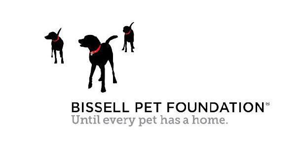 Pet adoption fee $25 at city, county shelters through May 15 - Vimarsana News