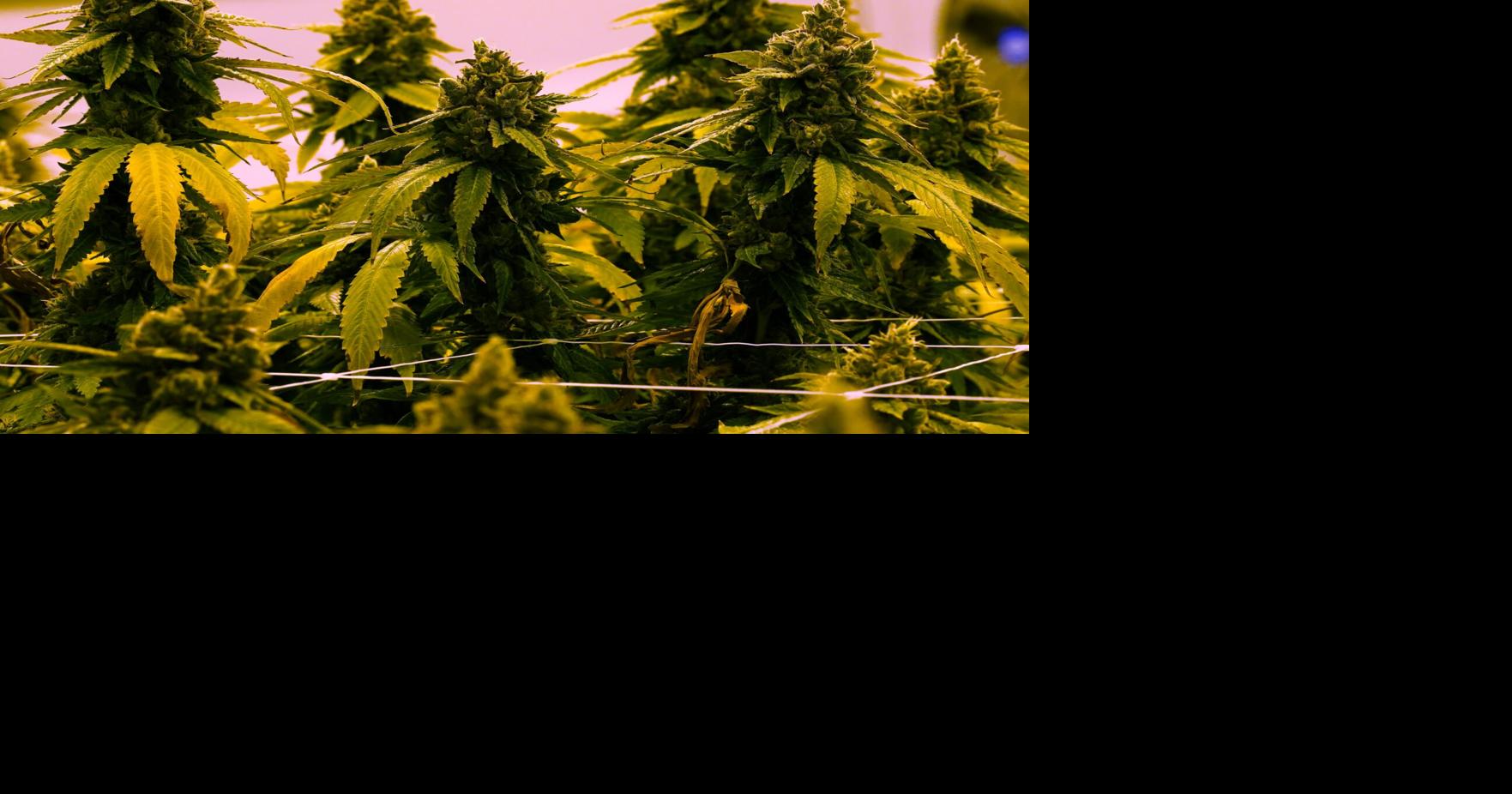 Virginia to allow recreational marijuana to be sold in retail stores beginning in 2027
