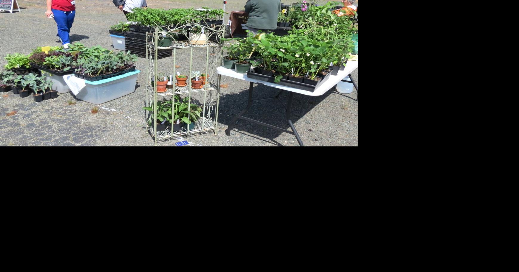 Surry County WIC families gain farmers' market benefits