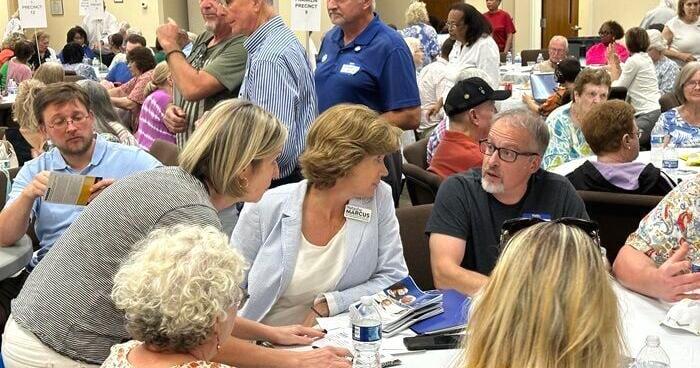 Local Democratic leader blames 'apathy' for recent upheaval