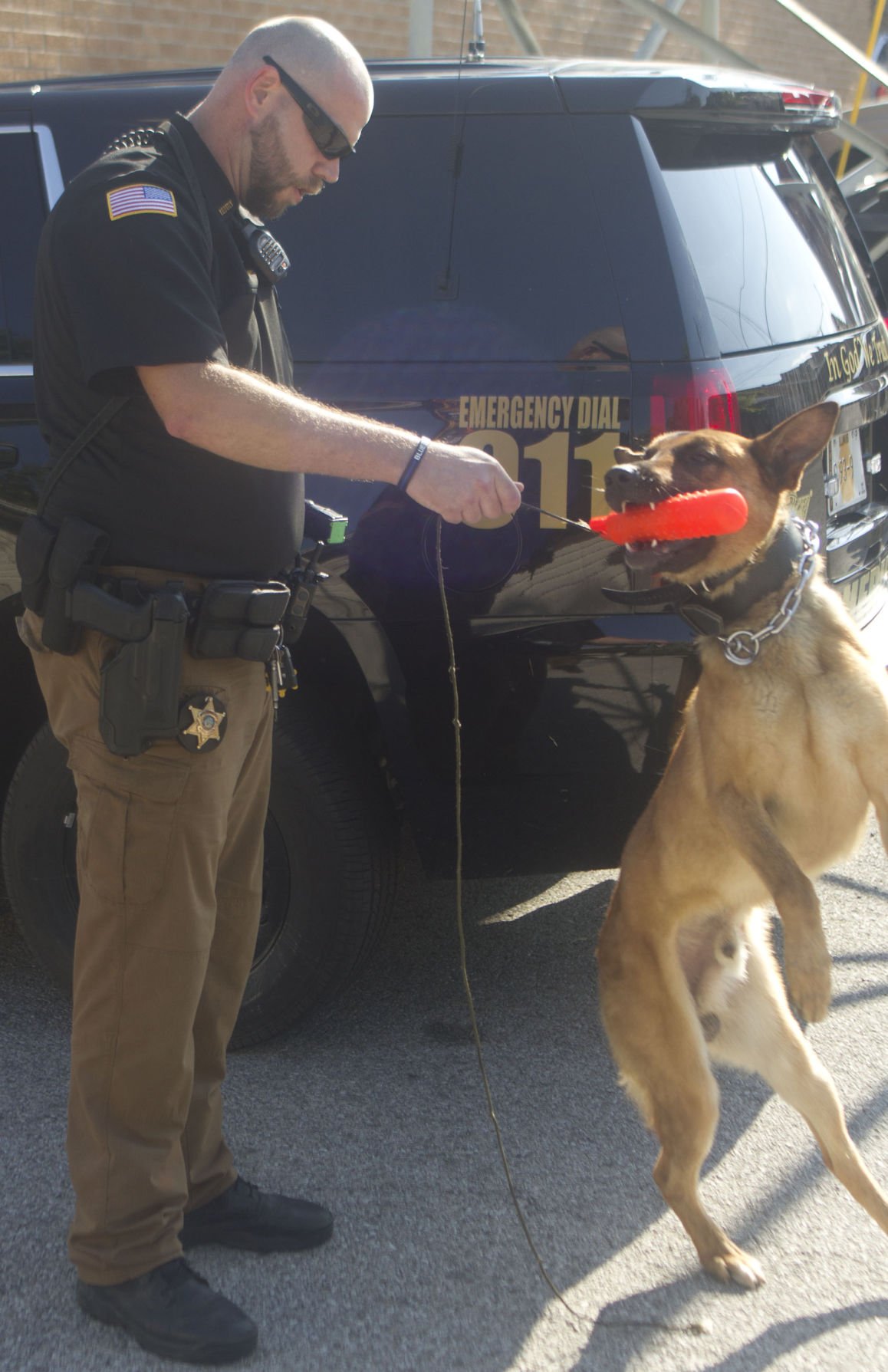 Wabash County K9 unit seeks new start in Mount Carmel News