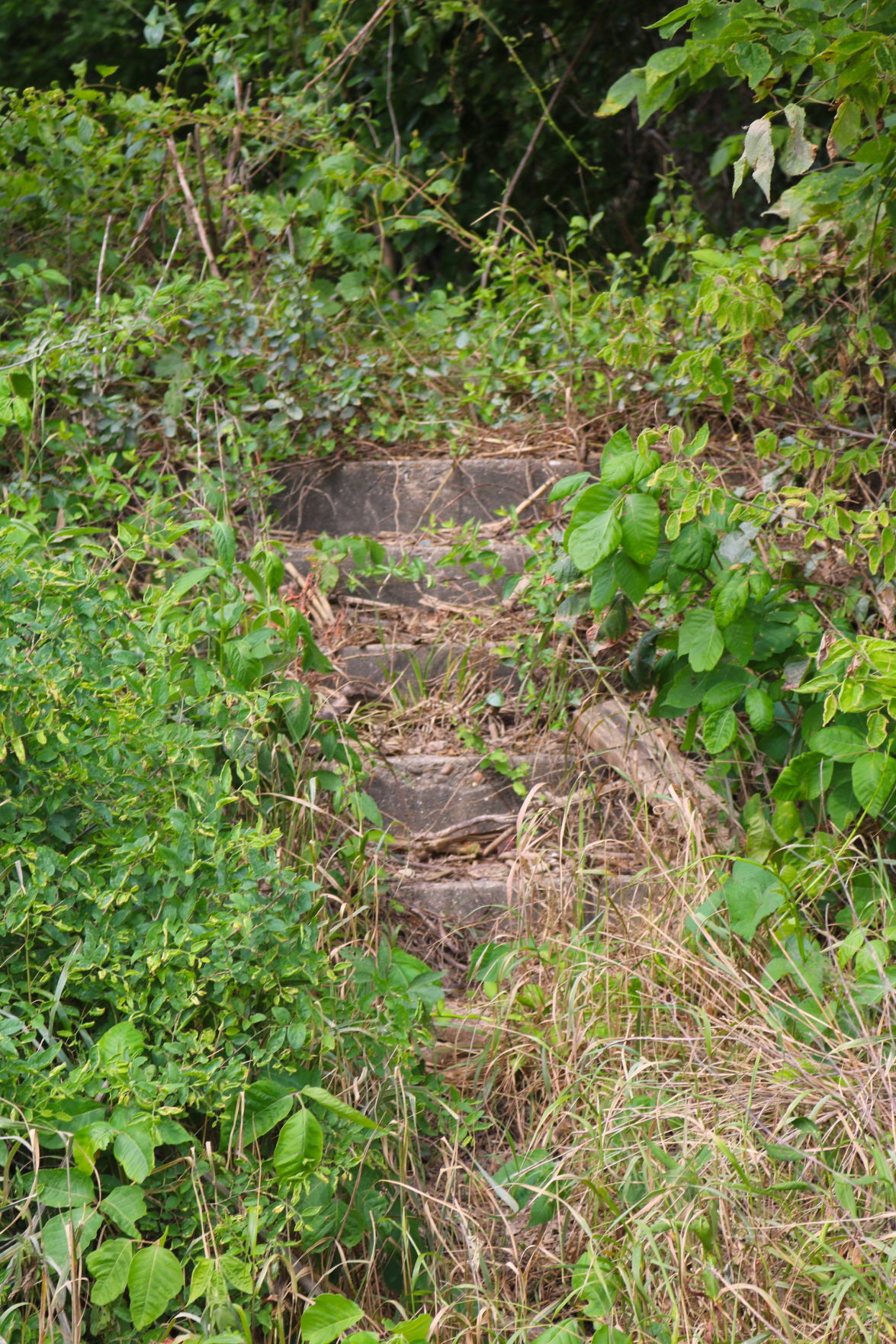 The mysterious past of the Grand Rapids Hotel 7year existence earns