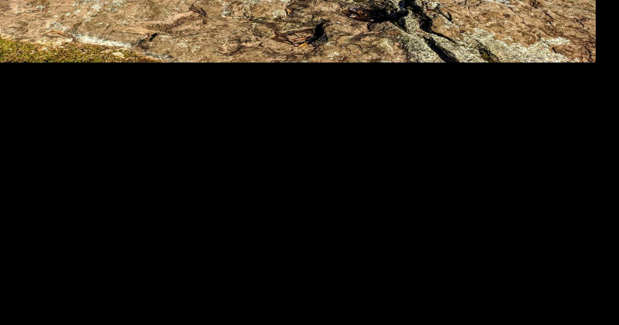 Day Hiker: Pointed Rocks Trail | Prospecting | mtdemocrat.com