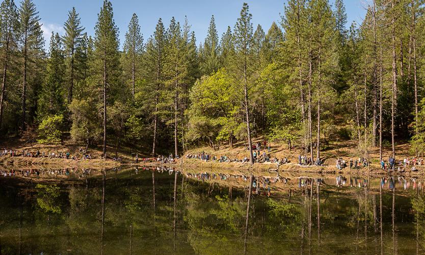 Lured to Lumsden News