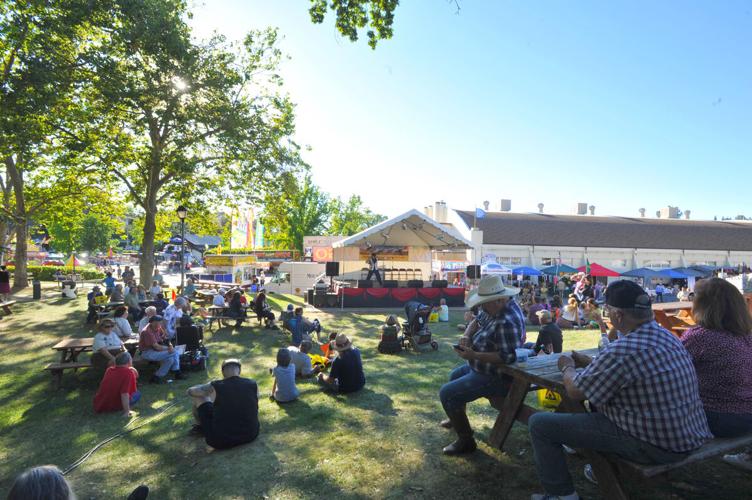 El Dorado County Fair 2015 | Photo Galleries | mtdemocrat.com