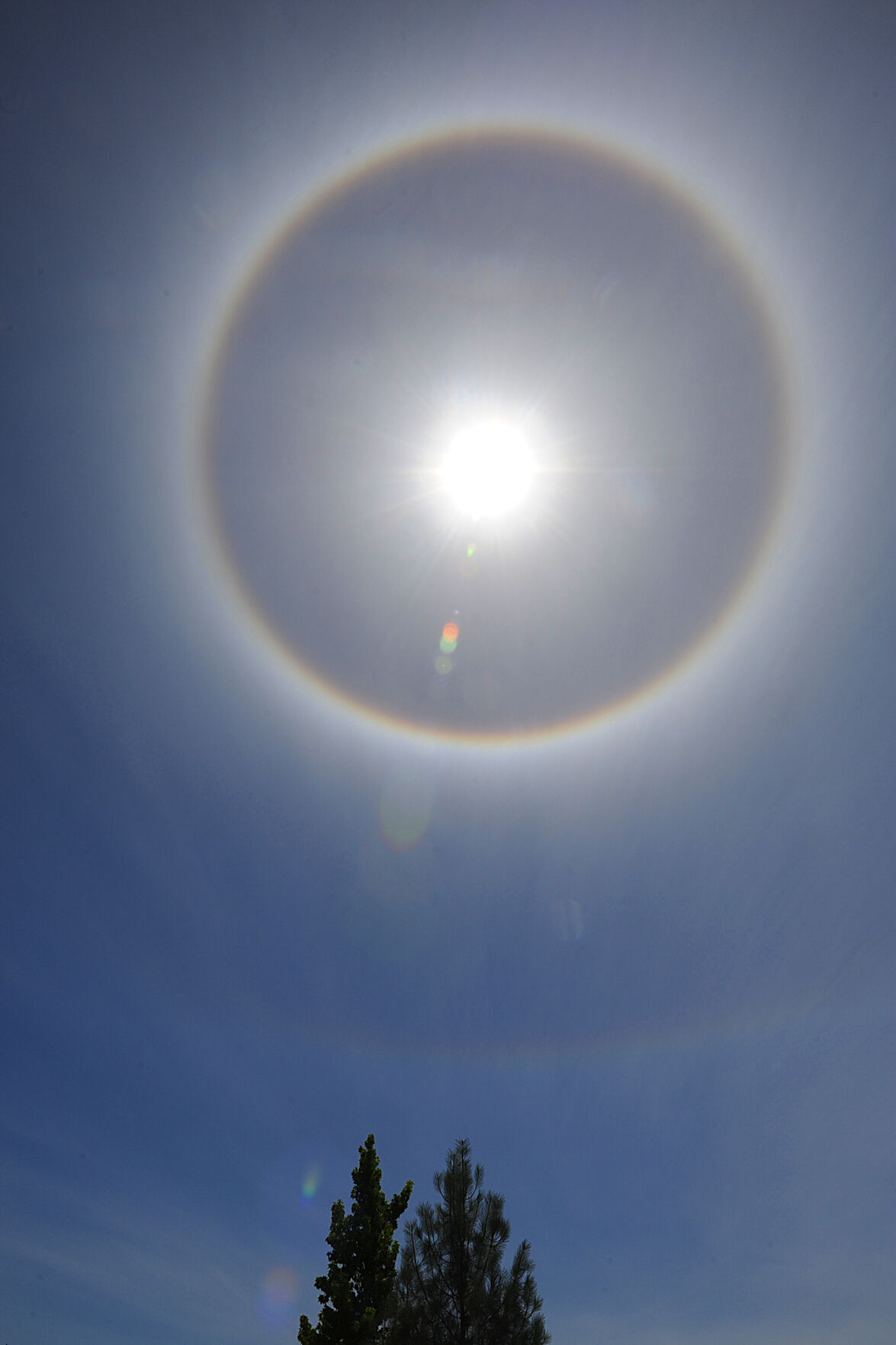 VIDEO: Rare rainbow coloured sun halo sighted in Dehradun; Internet thrilled