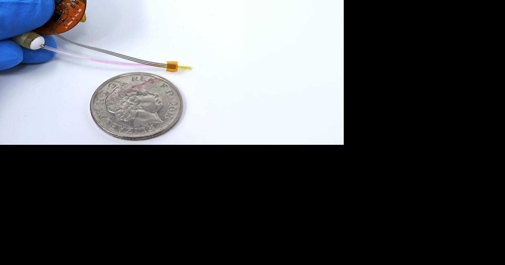 MIT implant could stop deadly brain tumors from coming back | Health ...