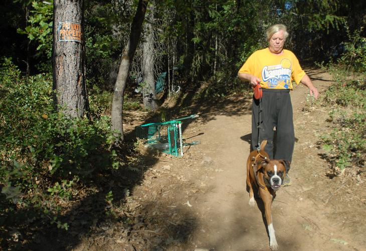 Lumsden Park eyed for ax to rid city of longtime woes News