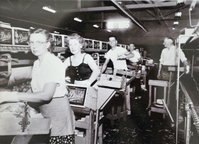 Placerville Fruit Growers Association celebrates 100 years Photo