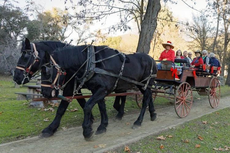 Photo gallery Historic Holiday Houses in Coloma News