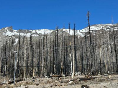 Forest Service seeks feedback on Caldor Fire restoration | News ...