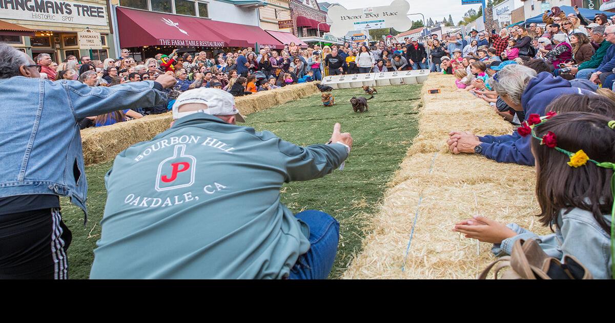 Dashin’ dachshunds — Main Street goes Bavarian for Placerville