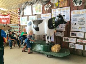 The Arts: Pull out the calendar for California’s best county fairs