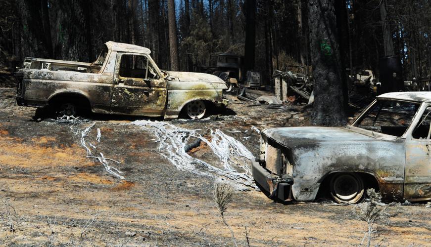 Grizzly strong — a community of grit returns News