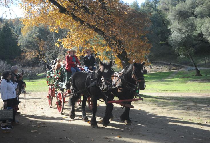 Oldtime cheer at Christmas in Coloma News