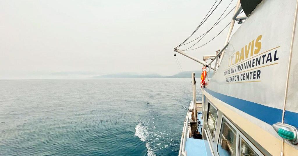 Dive into science this summer: UC Davis hosts 2025 summer sessions at Lake Tahoe