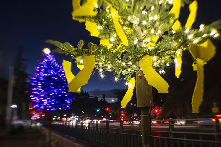 Photo gallery Highway 50 Christmas Tree Lane Photo Galleries