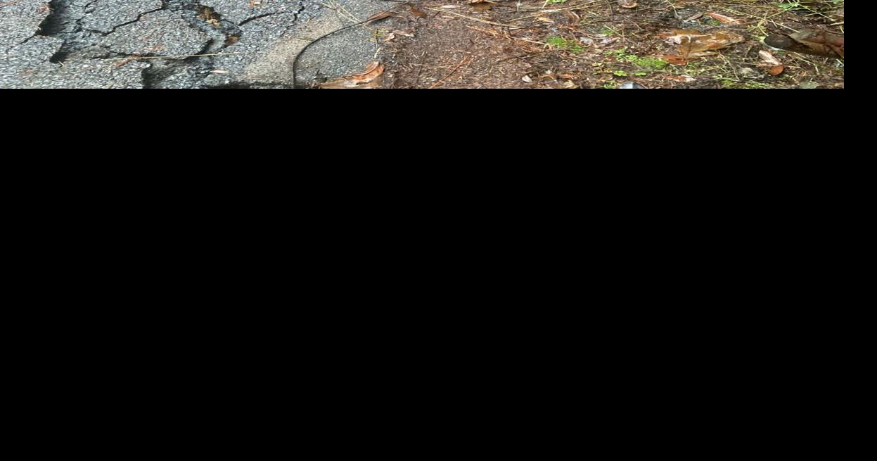 Georgetown forest roads and trails in rough state after storms | News ...