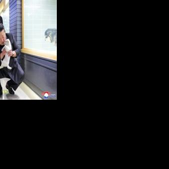 North Korea's Kim pets puppies, kittens at Pyongyang pet shop