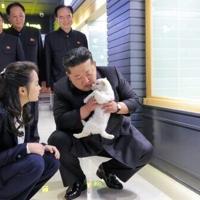 North Korea's Kim pets puppies, kittens at Pyongyang pet shop