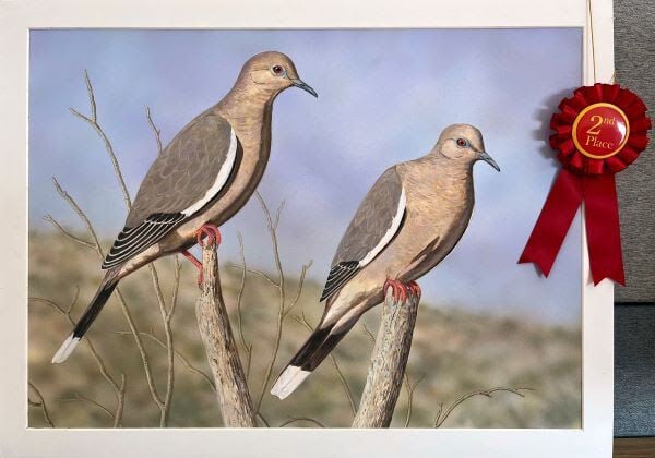 Oregon artist wins 2024 California Upland Game Bird Stamp Art Contest ...