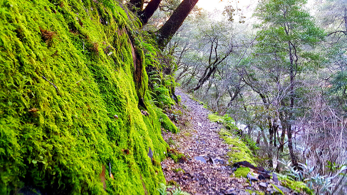 Day Hiker: South Yuba Trail (Edwards Crossing to Purdon Crossing) |  Prospecting | mtdemocrat.com, image size:1200x675