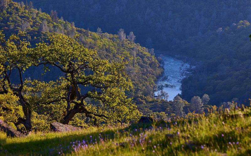 Conservation project closing in on 7,000-acre El Dorado Ranch | News ...