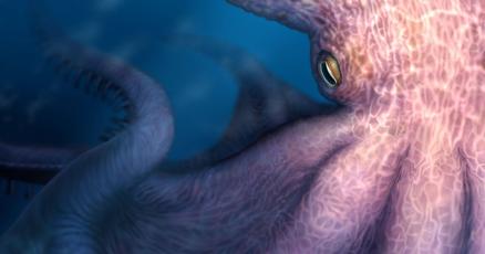 'Kraken-like' giant octopuses ruled oceans 100 million years ago