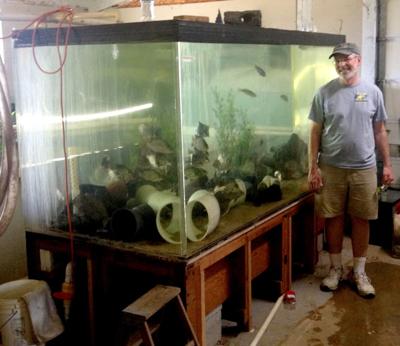 Keeping aquarium fish is more than a hobby, Happy Healthy Pets