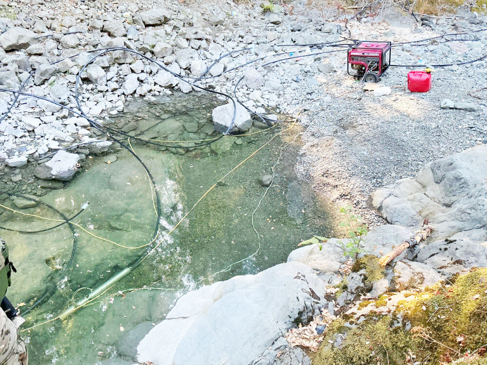 CDFW Cannabis Program safeguards California’s natural resources | News ...