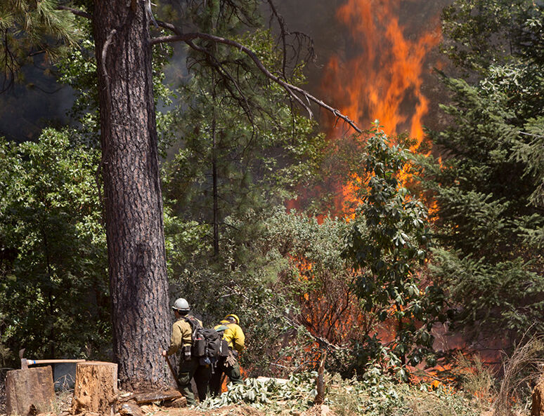 Top 10 stories of 2016 — No. 8: Trailhead Fire keeps fire crews busy | News  | mtdemocrat.com